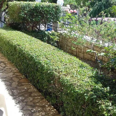 Corfu Dream Fani Διαμέρισμα Ύψος