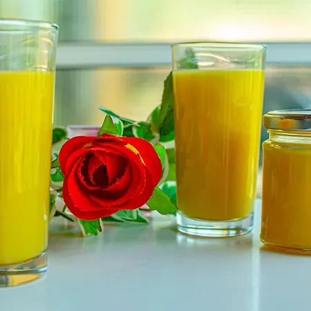 Corfu Dream Fani * 阿普索斯