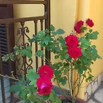Corfu Dream Fani Ipsos