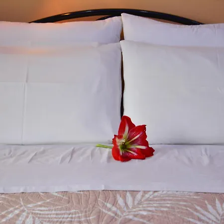 Appartement Corfu Dream Fani *