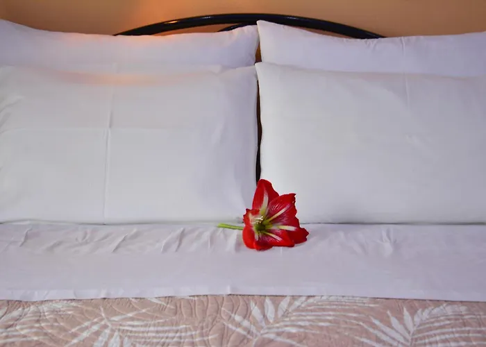 Apartmán Corfu Dream Fani *