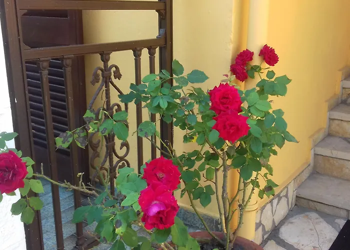 Corfu Dream Fani Ipsos